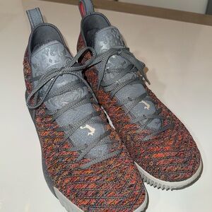 NIKE LEBRON XVI 16 "MULTI COLOR" METALLIC SILVER SZ 12